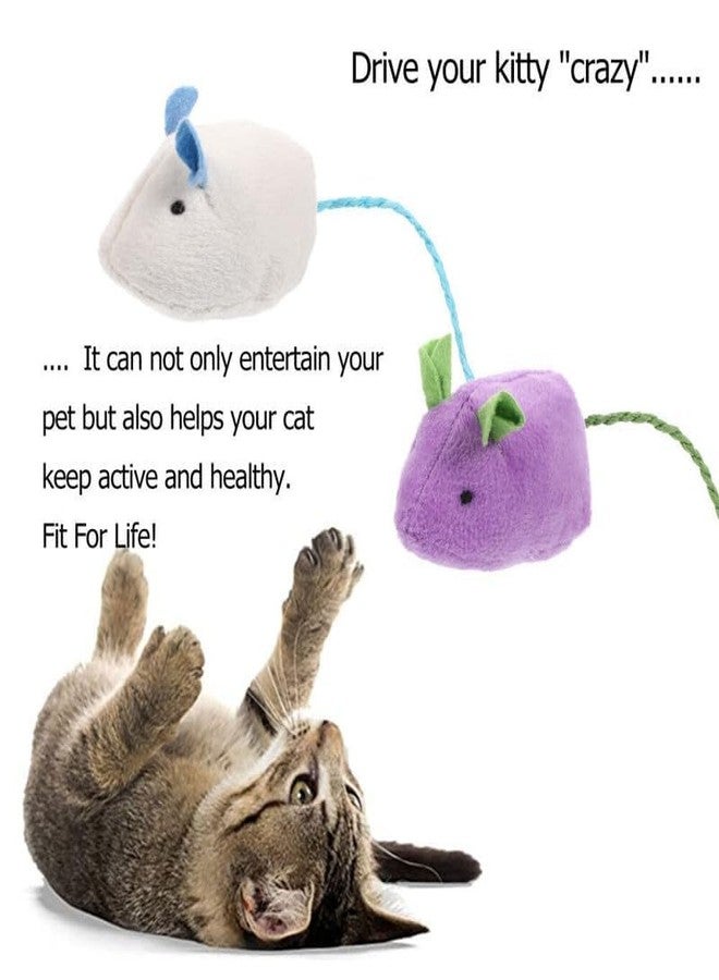 KittuPet لعبة فأر من حبل النايلون المتين وغير السام من KittuPet، مثالية للمضغ واللعب للقطط الصغيرة والجراء - مجموعة من قطعتين - Image 4